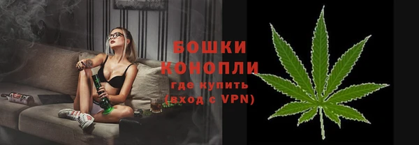 гашик Козловка
