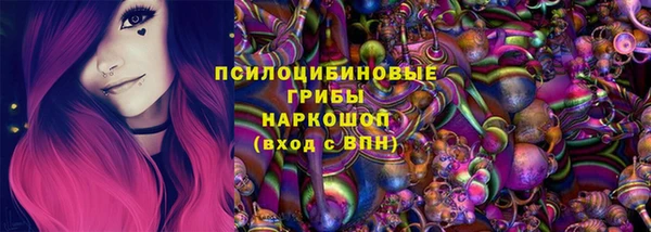 гашик Козловка