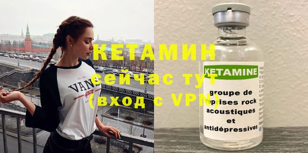 гашик Козловка