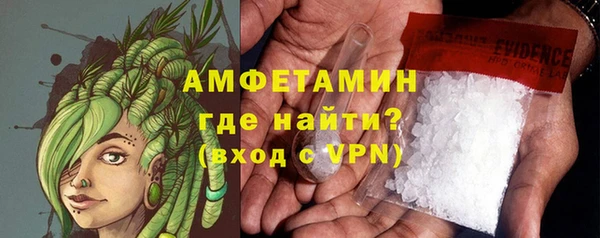 гашик Козловка