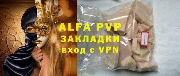 гашик Козловка