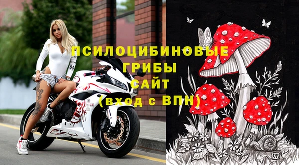 гашик Козловка