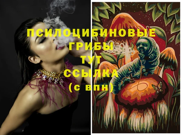 а пвп мука Козельск