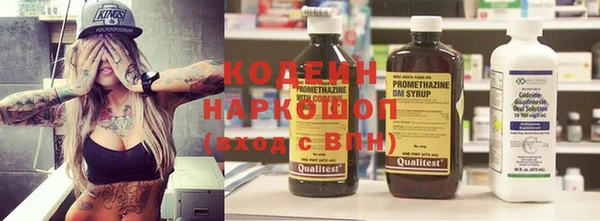 гашик Козловка