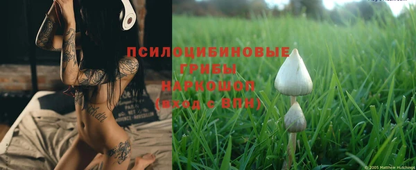 гашик Козловка