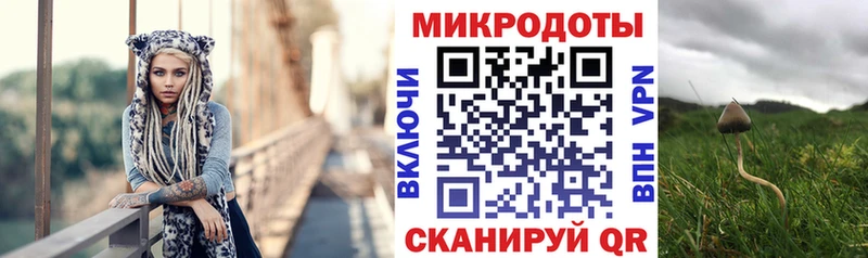 Галлюциногенные грибы Cubensis  Купить где  Волоколамск 