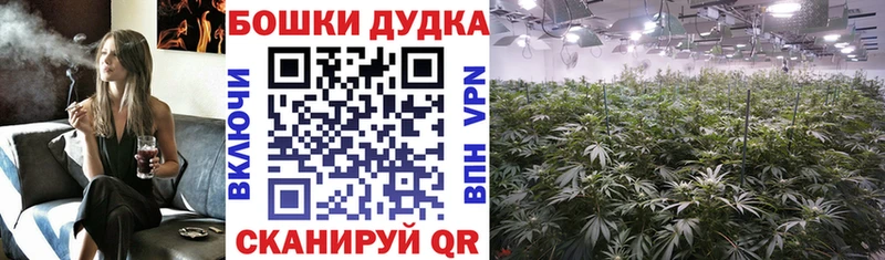 Шишки марихуана ГИДРОПОН Волоколамск
